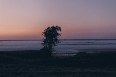 Tuzlu pembe bir göl üzerindeki güzel manzara. Doğa dokuları ve arka planlar