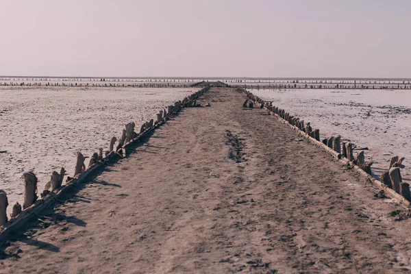 Prachtig Landschap Een Zoute Roze Meer Natuur Texturen Achtergronden — Stockfoto