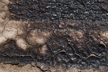 Texture of dry cracked earth 