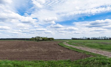 Bir kaynak tarlası manzarası, çiçek açan bir ağaç ve bulutlu güzel bir gökyüzü.