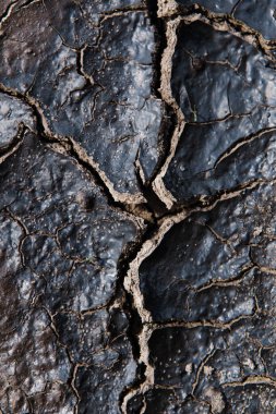 Texture of dry cracked earth 