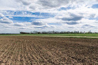Bir kaynak tarlası manzarası, çiçek açan bir ağaç ve bulutlu güzel bir gökyüzü.