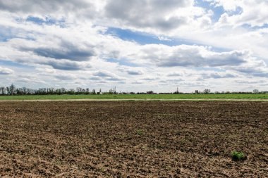 Bir kaynak tarlası manzarası, çiçek açan bir ağaç ve bulutlu güzel bir gökyüzü.