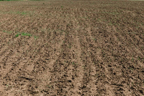 View Spring Plowed Field Blooming Tree Beautiful Sky Clouds Royalty Free Stock Photos