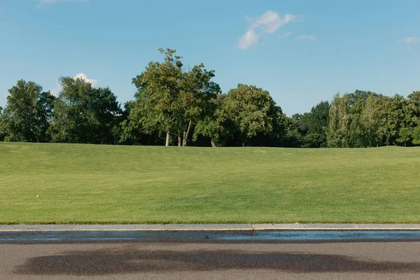 beautiful landscape of an english park in the city of the state of israel