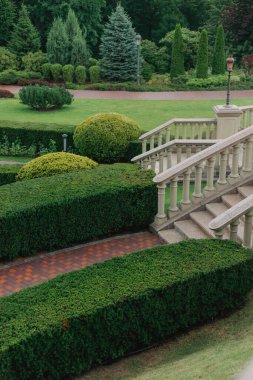 Yeşil çimenleri ve ağaçları olan güzel bir bahçe.