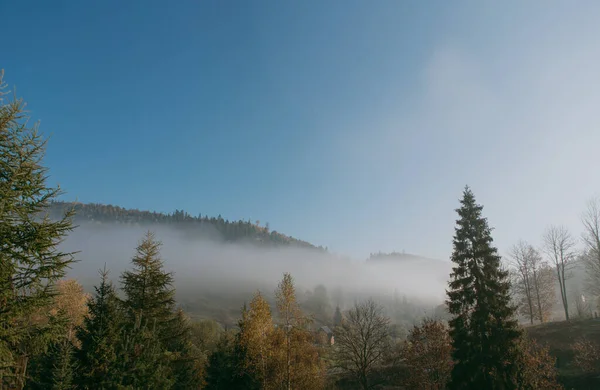秋天的群山美丽的风景 森林的景色 松树的景色 还有雾 — 图库照片