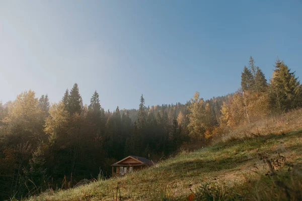 秋天的群山美丽的风景 森林的景色 松树的景色 还有雾 — 图库照片