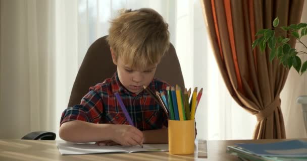 Criança Bonito Desenha Figuras Cor Kid Distance Learning Casa Menino — Vídeo de Stock