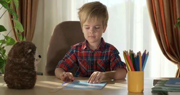 Cute Little Kid Estudar Distância Aprendizagem Casa Menino Pré Escolar — Vídeo de Stock