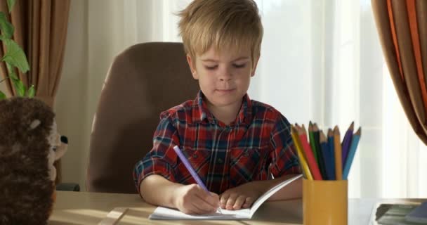Lindo Niño Pequeño Estudio Distancia Aprendizaje Hogar Niño Preescolar Sienta — Vídeos de Stock