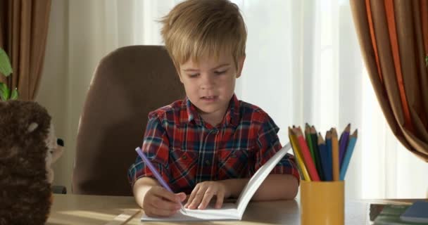 Lindo Niño Pequeño Estudio Distancia Aprendizaje Hogar Niño Preescolar Sienta — Vídeos de Stock