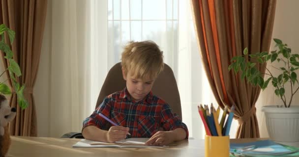 Cute Little Kid Estudar Distância Aprendizagem Casa Menino Pré Escolar — Vídeo de Stock