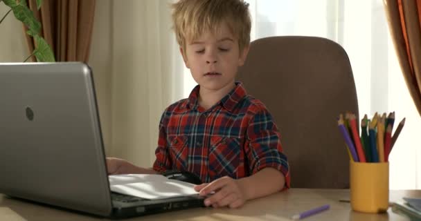 Kind Studeren Online Les Video Conferentie Chat Met Behulp Van — Stockvideo