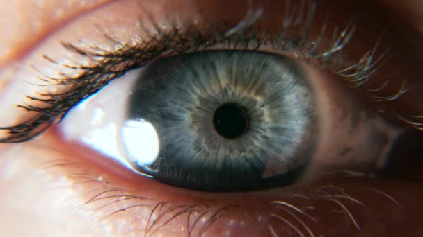 Крупним Планом Відкриті Блакитні Очі Людська Лялька Cornea Iris Eyeball — стокове відео