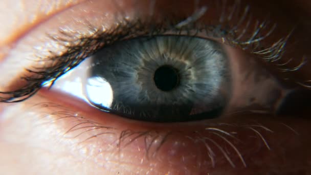 Close Open Blue Female Eyes Human Pupil Cornea Iris Eyeball — Stock Video