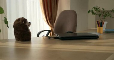 Diz üstü bilgisayar, Pencerenin yanındaki boş odada, Masa Masasında. Sunny İç Tasarım 4K