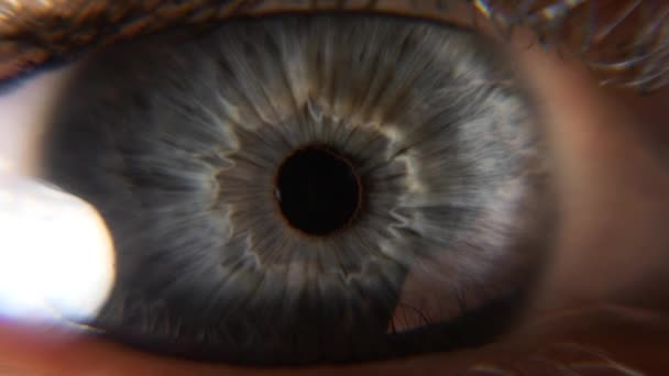 Großaufnahme Offene Blaue Weibliche Augen Human Pupil Cornea Iris Eyeball — Stockvideo