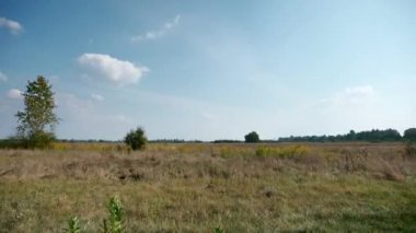 Ovaların Üzerinde Mavi Gökyüzü Manzarası. Araba penceresinden yan görüş. Off-road 'a git. Kırsal Kır Sahnesi 4K