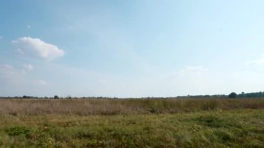 Ovaların Üzerinde Mavi Gökyüzü Manzarası. Araba penceresinden yan görüş. Off-road 'a git. Kırsal Kır Sahnesi 4K