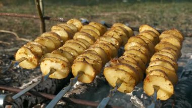 Kamp ateşinde Şiş 'te Patates Kızartması. Aile Çocuk Gezisi Piknik Pikniği Kırsal Bölge 'de. Doğanın Kırsal Sahne Yaz Günü. 2x Yavaş çekim 60fps 4K