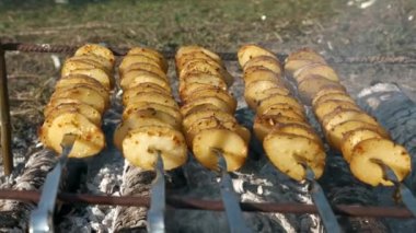 Kamp ateşinde Şiş 'te Patates Kızartması. Aile Çocuk Gezisi Piknik Pikniği Kırsal Bölge 'de. Doğanın Kırsal Sahne Yaz Günü. 2x Yavaş çekim 60fps 4K