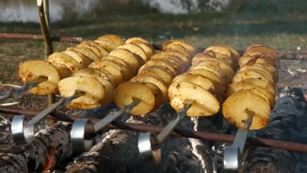Zbliżenie Pieczenie Ziemniaków Szufladzie Nad Ogniem Gotowanie Jedzenie Ognisku Rodzina — Wideo stockowe