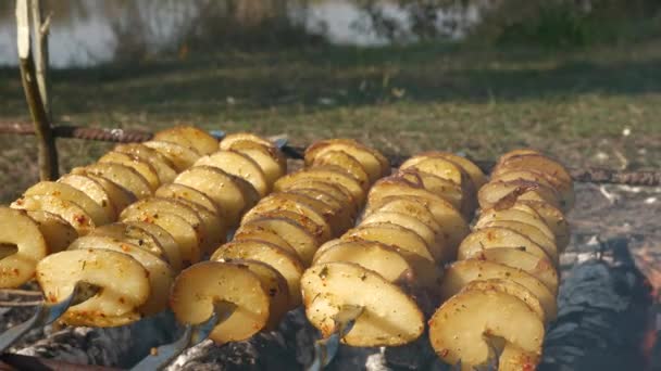 Großaufnahme Kartoffelbraten Spieß Über Dem Feuer Kochen Von Speisen Lagerfeuer — Stockvideo