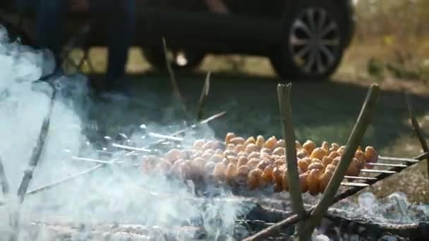 特写土豆烤在烤炉上 而不是在篝火上烹调食物 有孩子外出的家庭在郊外田边的湖边野餐 自然乡村风貌夏日 2X慢动作60Fps — 图库视频影像