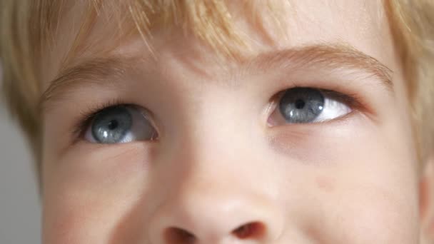 Cara Menino Olhos Azuis Criança Close Pupila Córnea Íris Eyeball — Vídeo de Stock