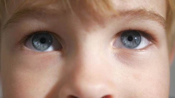 Close Child Blue Eyes Kid Boy Face Pupil Cornea Iris — Stock Video