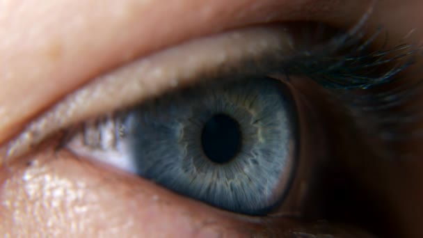 Close up Open Blue Female Eyes. Human Pupil Cornea Iris Eyeball Eyelashes. Macro Shot. 2x Slow motion 60 fps 4K