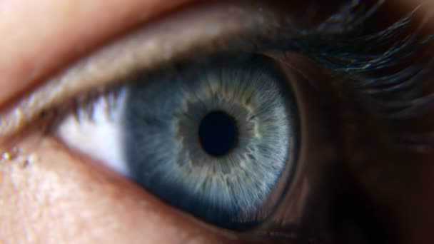 Feche Olhos Femininos Azuis Abertos Pupila Humana Córnea Íris Eyeball — Vídeo de Stock