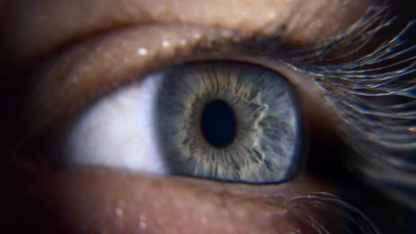 Sluit Open Blauwe Vrouwelijke Ogen Menselijke Pupil Cornea Iris Eyeball — Stockvideo