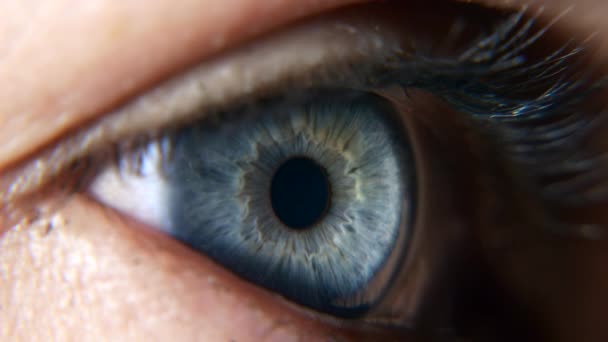 Feche Olhos Femininos Azuis Abertos Pupila Humana Córnea Íris Eyeball — Vídeo de Stock