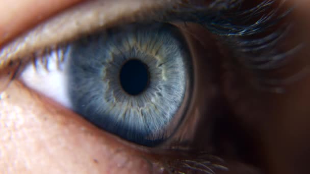 Κλείσε Ανοιχτά Μπλε Γυναικεία Μάτια Ανθρώπινη Κορνεόλη Ίρις Βλεφαρίδες Ματιών — Αρχείο Βίντεο