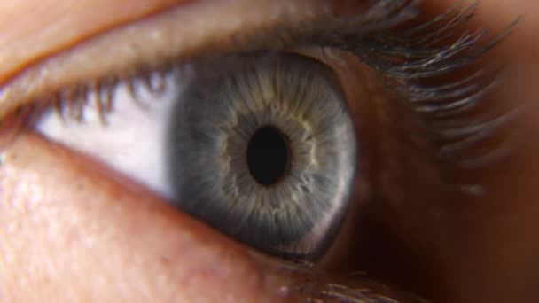 Großaufnahme Offene Blaue Weibliche Augen Human Pupil Cornea Iris Eyeball — Stockvideo