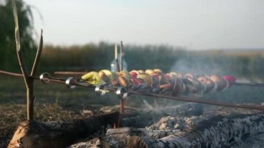 Yakın plan Vejetaryen Vejetaryen Sebze Sebzeleri Kamp Ateşinde Şiş Kızartma 'da. Ateşin üzerinde vejetaryen yemeği pişirmek. Aile Gezisi Pikniği Kırsal Doğa Bölgesi Yazı. 2x Yavaş çekim 60fps 4K