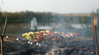 Yakın plan Vejetaryen Vejetaryen Sebze Sebzeleri Kamp Ateşinde Şiş Kızartma 'da. Ateşin üzerinde vejetaryen yemeği pişirmek. Aile Gezisi Pikniği Kırsal Doğa Bölgesi Yazı. 2x Yavaş çekim 60fps 4K