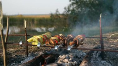 Yakın plan Vejetaryen Vejetaryen Sebze Sebzeleri Kamp Ateşinde Şiş Kızartma 'da. Ateşin üzerinde vejetaryen yemeği pişirmek. Aile Gezisi Pikniği Kırsal Doğa Bölgesi Yazı. 2x Yavaş çekim 60fps 4K