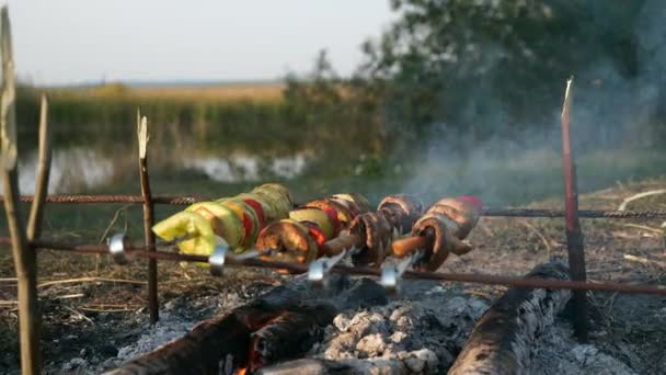 Вегетарианские Вегетарианские Кебаб Овощи Крупным Планом Шашлычной Обжарка Костре Готовить — стоковое видео