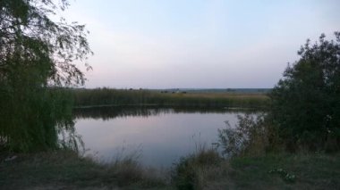 Kırsal bölgedeki otlaklarda otlayan Atların Sürüsü Arkaplanındaki Güzel Göl Göleti. Panorama Sahnesi Kırsal Doğa Sahnesi. 2x Yavaş çekim 60 fps 4K