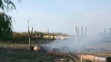 Kamp ateşi üzerinde Şiş Aşçı Vejetaryen Yemeği 'nde yakın plan Patates Kızartması. Aile Gezisi Pikniği Kırsal Doğa Bölgesi Yazı