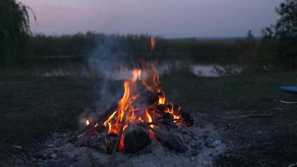 Крупный План Горящий Огонь Костре Кемпинге Рядом Озером Полевых Равнинах — стоковое видео