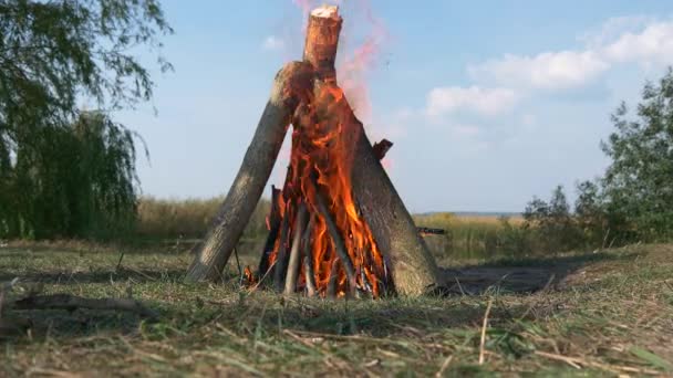 Close Fuego Leña Ardiente Fogata Camping Cerca Del Lago Las — Vídeos de Stock