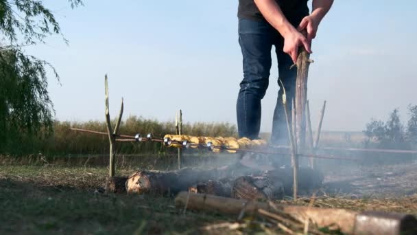 Close Man Roast Potato Skewer Cook Vegetarian Food Fire Campfire — Stock Video
