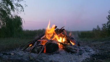 Saha Ovası 'ndaki Kamp Alanı' nda yakın çekim Yakıcı Odun Ateşi Kamp Ateşi. Kırsal Kır Sahnesi. Yaz Akşamı Alacakaranlık Gecesi 4K
