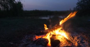Saha Ovası 'ndaki Kamp Alanı' nda yakın çekim Yakıcı Odun Ateşi Kamp Ateşi. Kırsal Kır Sahnesi. Yaz Akşamı Alacakaranlık Gecesi 4K