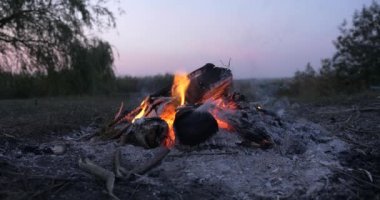 Saha Ovası 'ndaki Kamp Alanı' nda yakın çekim Yakıcı Odun Ateşi Kamp Ateşi. Kırsal Kır Sahnesi. Yaz Akşamı Alacakaranlık Gecesi 4K
