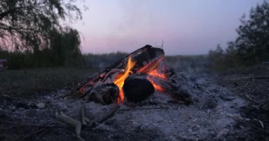 Saha Ovası 'ndaki Kamp Alanı' nda yakın çekim Yakıcı Odun Ateşi Kamp Ateşi. Kırsal Kır Sahnesi. Yaz Akşamı Alacakaranlık Gecesi 4K